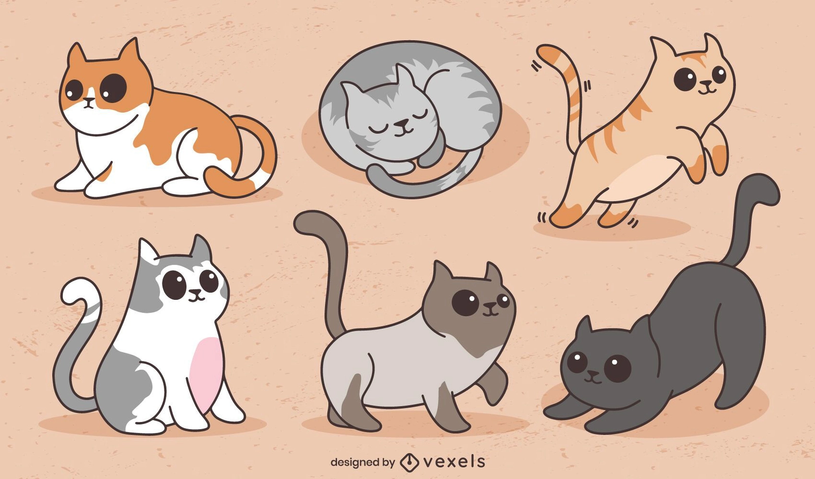 🐱 Raça extra de gatinhos